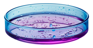Blue and purple bacterial growth in a petri dish for scientific study, cut out - stock . png