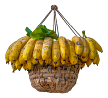 Hanging ripe bananas in a bamboo basket with green leaves, cut out - stock . png
