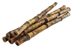 Stack of cut bamboo logs, cut out - stock . png