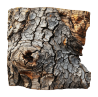 High-detail ancient petrified wood piece, cut out - stock . png