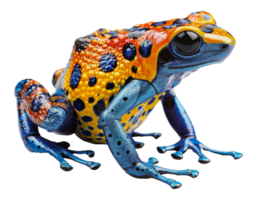 Exotic yellow and blue poison dart frog, cut out - stock . png