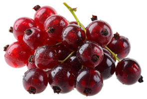 Fresh red currants with water drops, cut out - stock .. png