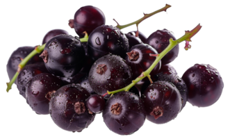 Juicy black currants, cut out - stock .. png