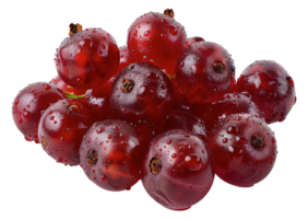 Fresh red currants with water drops, cut out - stock .. png