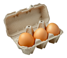 Brown eggs in a cardboard carton, cut out - stock .. png