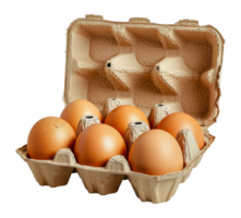 Brown eggs in a cardboard carton, cut out - stock .. png