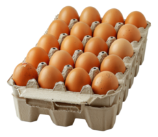 Brown eggs in a cardboard carton, cut out - stock .. png