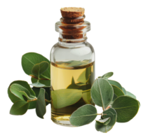 esencial petróleo en vaso botella rodeado por verde hojas, cortar fuera - valores . png