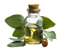 Essential oil in glass bottle surrounded by green leaves, cut out - stock . png