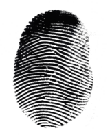Detailed single fingerprint, cut out - stock .. png