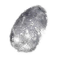 Detailed single fingerprint, cut out - stock .. png