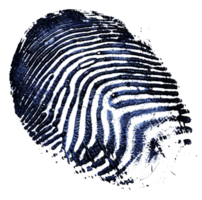 Detailed single fingerprint, cut out - stock .. png