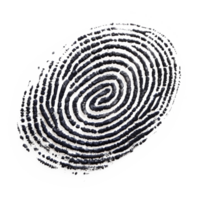 Detailed single fingerprint, cut out - stock .. png