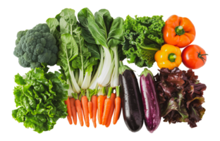 Mixed fresh vegetables assortment, cut out - stock .. png