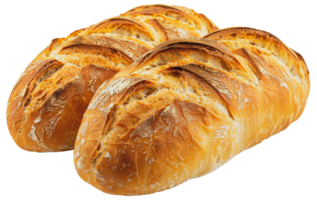 Artisan baked bread loaves, cut out - stock .. png