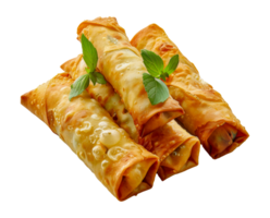 Fresh vegetable spring rolls with crisp lettuce, cut out - stock .. png