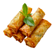 Fresh vegetable spring rolls with crisp lettuce, cut out - stock .. png