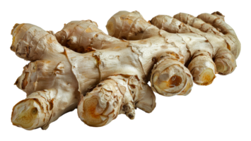 Fresh organic ginger roots, cut out - stock .. png