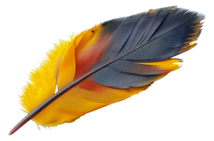 Colorful feather with yellow and gray shades, cut out - stock . png