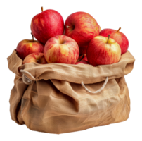 Fresh red apples in a burlap sack, cut out - stock .. png