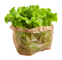 Fresh green lettuce in a crumpled brown paper bag, cut out - stock . png