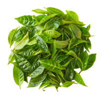 Heap of fresh tea leaves, cut out - stock .. png