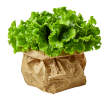 Fresh green lettuce in a crumpled brown paper bag, cut out - stock . png