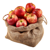färsk röd äpplen i en säckväv säck, skära ut - stock .. png