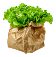 Fresh green lettuce in a crumpled brown paper bag, cut out - stock . png