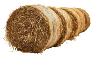 Stack of natural hay bales, cut out - stock .. png