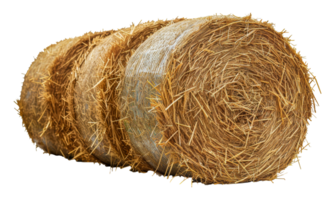 Stack of natural hay bales, cut out - stock .. png