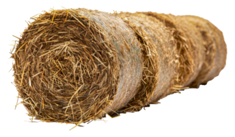 Stack of natural hay bales, cut out - stock .. png