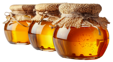 Honey in glass jars with burlap covers and ties, cut out - stock . png