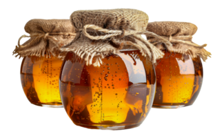 Honey in glass jars with burlap covers and ties, cut out - stock . png