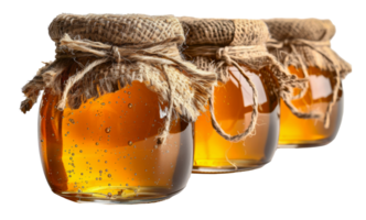 Honey in glass jars with burlap covers and ties, cut out - stock . png