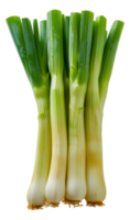 Bunch of fresh leeks, cut out - stock .. png