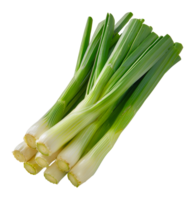 Bunch of fresh leeks, cut out - stock .. png