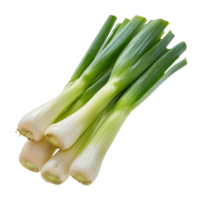 Bunch of fresh leeks, cut out - stock .. png