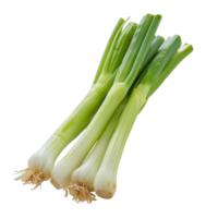 Bunch of fresh leeks, cut out - stock .. png