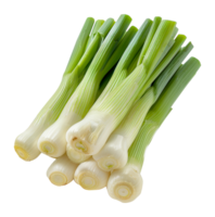 Bunch of fresh leeks, cut out - stock .. png