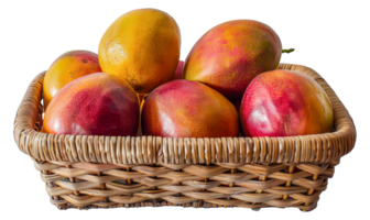 Fresh mangoes in a wicker basket, cut out - stock .. png