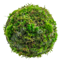 Mossy sphere, cut out - stock . png