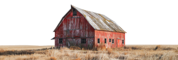 Weathered red barn in golden field, cut out - stock . png