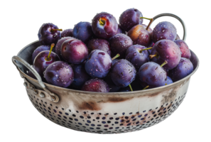 Fresh ripe plums with water drops in metal colander, cut out - stock . png