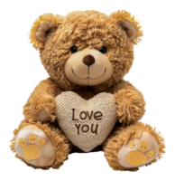 Teddy bear with knit heart pillow saying 'Love You', cut out - stock . png