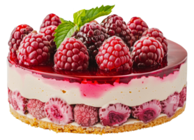 Himbeere Käsekuchen mit frisch Beeren auf Spitze, Schnitt aus - - Lager . png