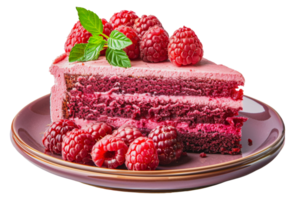 Slice of raspberry layer cake on a plate, cut out - stock . png