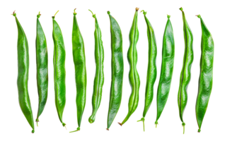 Fresh green beans piled together, cut out - stock . png