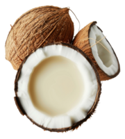 Fresh coconut and coconut milk, cut out - stock . png