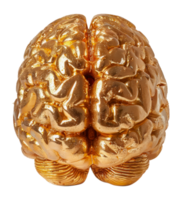dourado humano cérebro escultura, cortar Fora - estoque . png